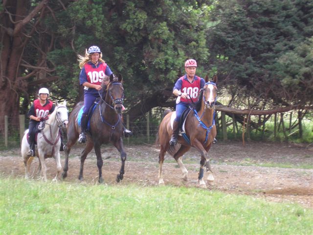 Mt Nimrod Endurance Riding Club